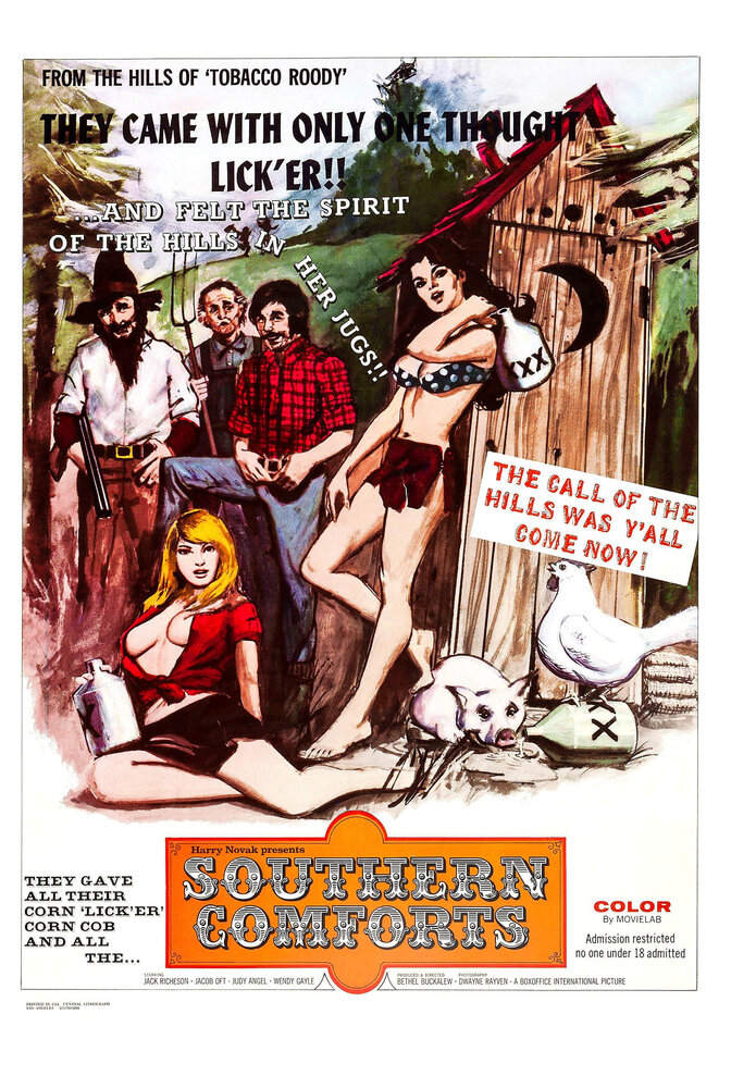 Южные удобства (1971)