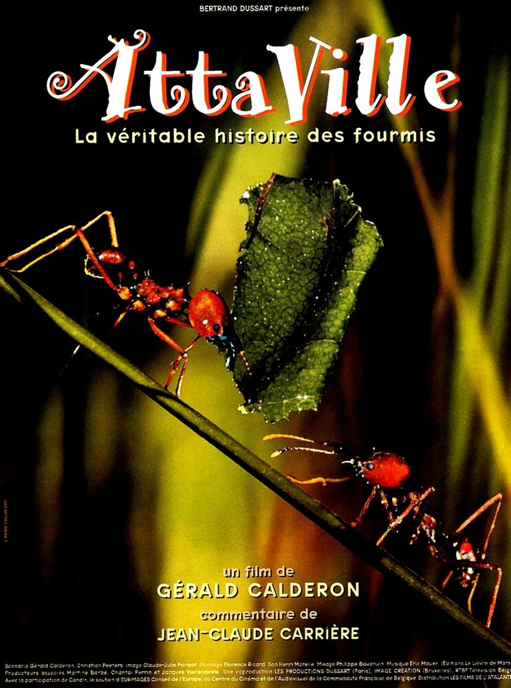 Attaville, la véritable histoire des fourmis (1998)
